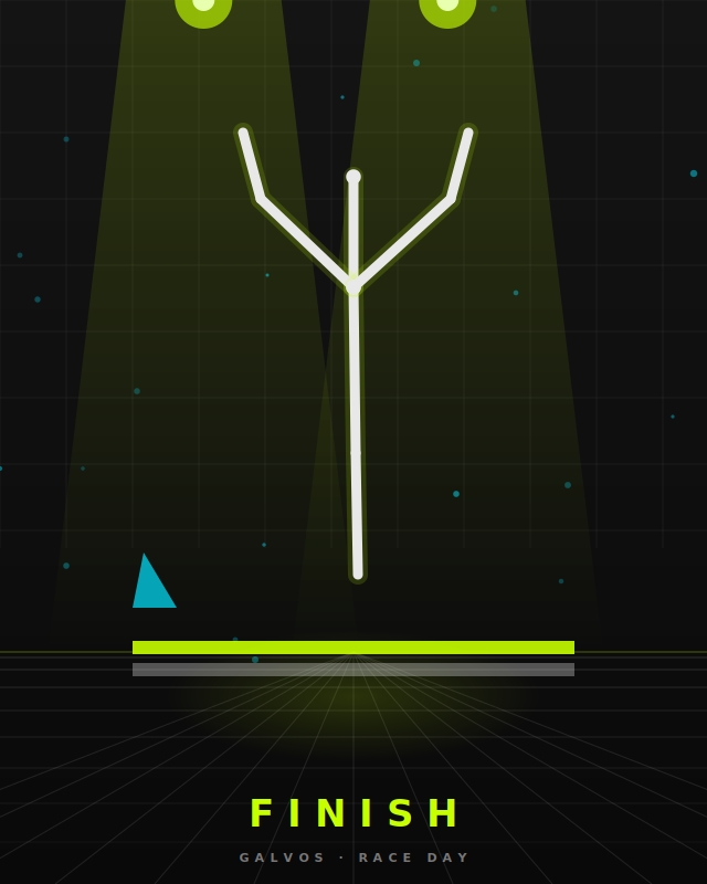 Finish 终点冲线